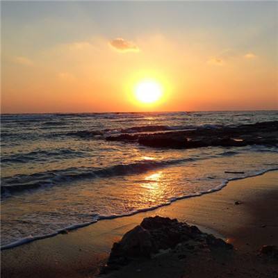 漂流者征服记无敌版